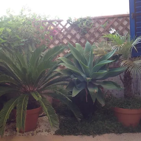 Kings With Private Garden Apartment