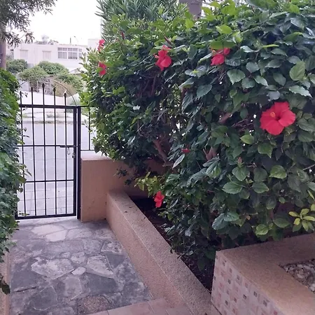 Kings With Private Garden Apartament *